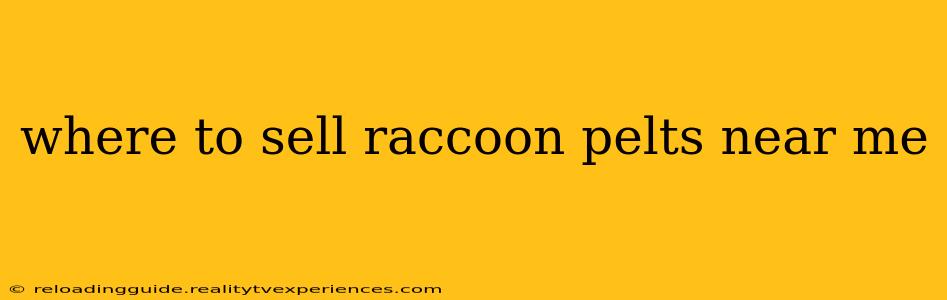 where to sell raccoon pelts near me