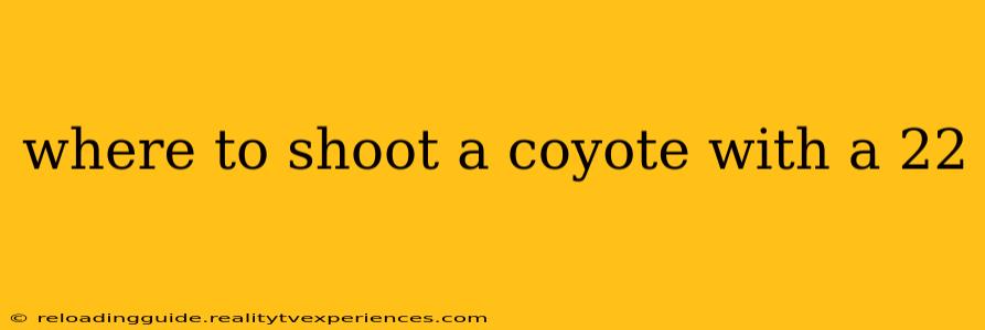 where to shoot a coyote with a 22