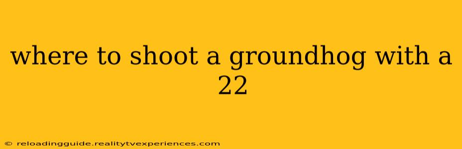 where to shoot a groundhog with a 22