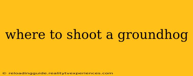 where to shoot a groundhog