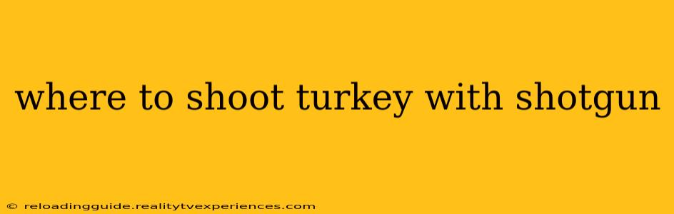 where to shoot turkey with shotgun