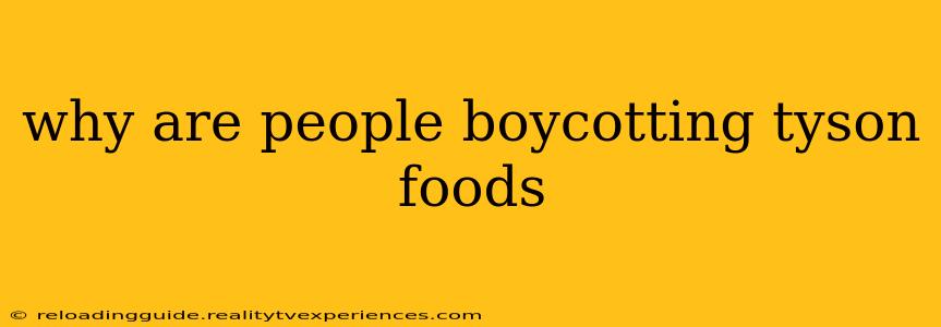 why are people boycotting tyson foods