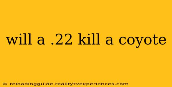 will a .22 kill a coyote