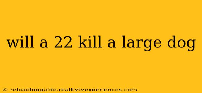 will a 22 kill a large dog