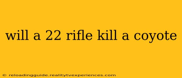 will a 22 rifle kill a coyote