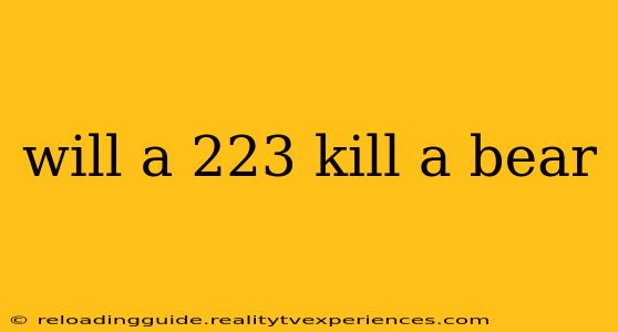 will a 223 kill a bear