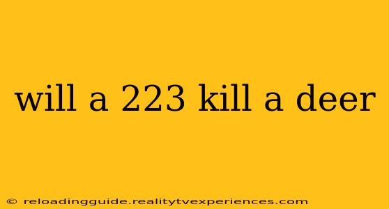 will a 223 kill a deer