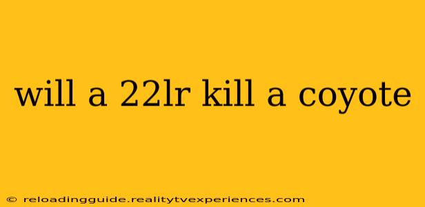 will a 22lr kill a coyote