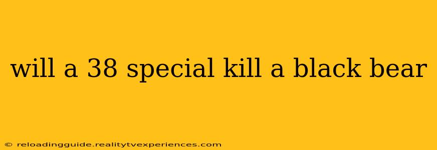 will a 38 special kill a black bear