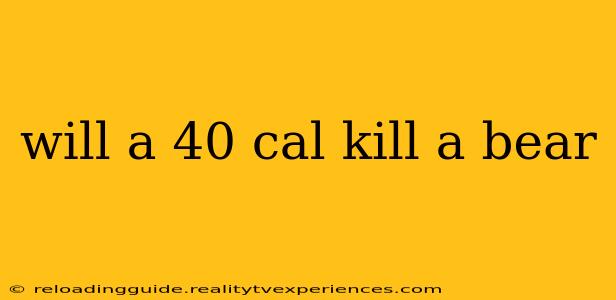 will a 40 cal kill a bear