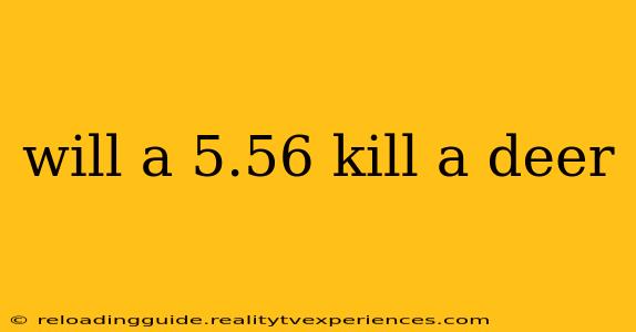 will a 5.56 kill a deer