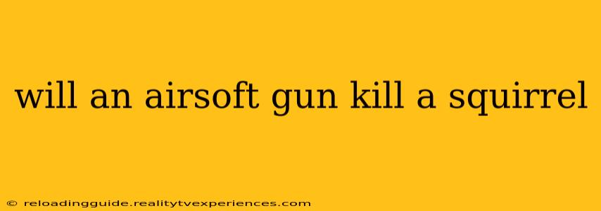 will an airsoft gun kill a squirrel