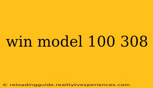 win model 100 308