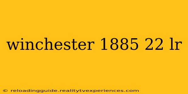 winchester 1885 22 lr