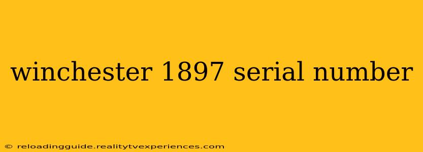 winchester 1897 serial number