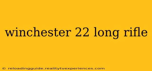 winchester 22 long rifle