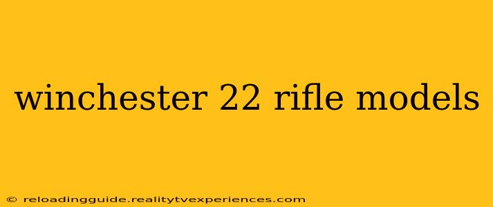 winchester 22 rifle models