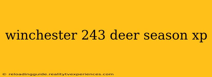 winchester 243 deer season xp