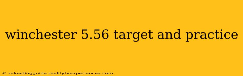 winchester 5.56 target and practice