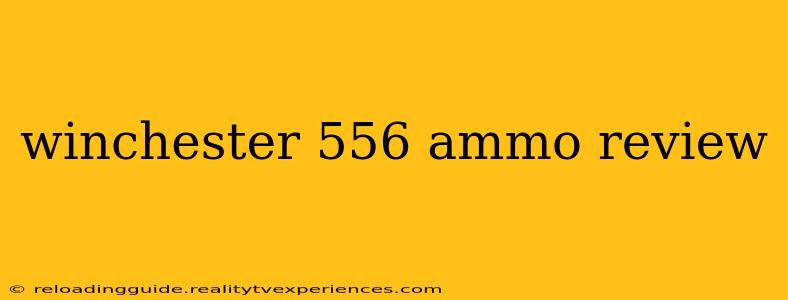 winchester 556 ammo review