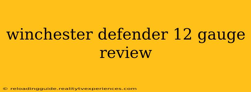 winchester defender 12 gauge review