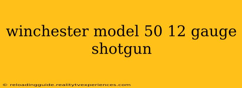 winchester model 50 12 gauge shotgun