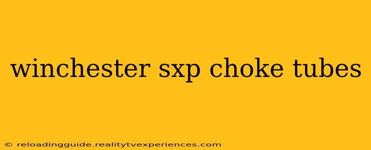 winchester sxp choke tubes