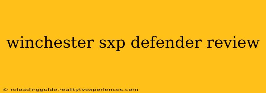 winchester sxp defender review