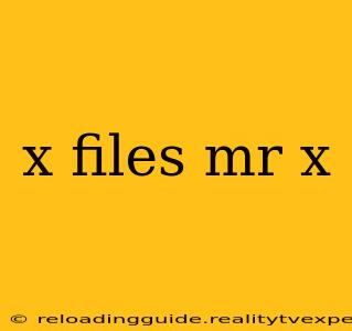 x files mr x