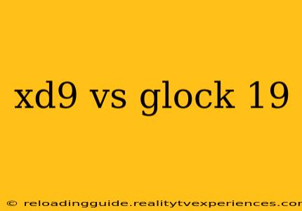 xd9 vs glock 19